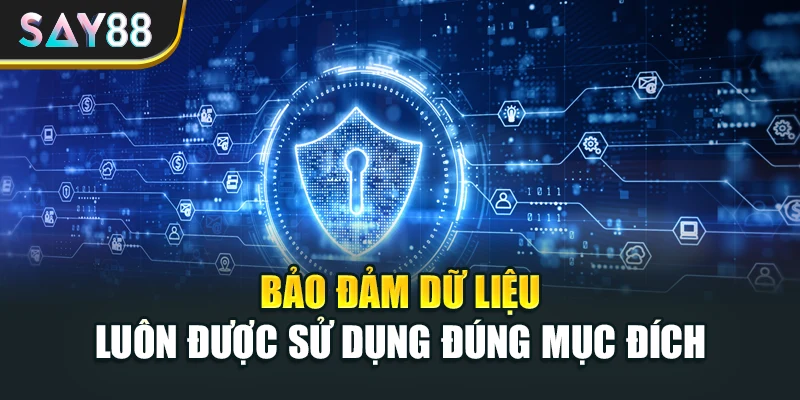 Bảo đảm dữ liệu luôn được sử dụng đúng mục đích