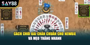 Cách Chơi Bài Chắn Chuẩn Cho Newbie Và Mẹo Thắng Nhanh