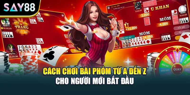 Cách Chơi Bài Phỏm Từ A Đến Z Cho Người Mới Bắt Đầu